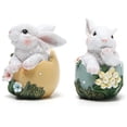 thumbnail image 1 of Hodao Conejito de Pascua Decoraciones Primavera Decoración del Hogar Figuras de Conejito (Conejo de Proteína de Resurrección 2 Piezas) Decoraciones de Pascua, 1 of 5