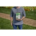 thumbnail image 4 of Scotts Turf Builder Clover Lawn Seed, 2 lbs-Low Maintenance, 4 of 8