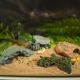 thumbnail image 6 of WINDLAND Fish Shelter House Fishtanks Hideouts Cave Aquariums Terrariums Basking Platform, 6 of 20