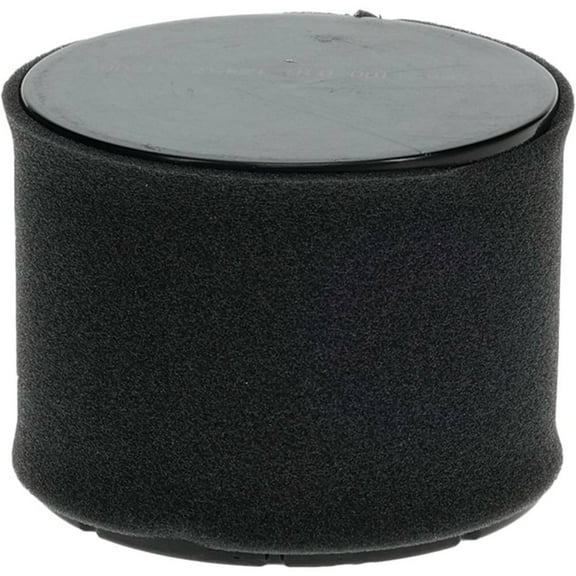 Air Filter Combo / Kawasaki 11029-0032