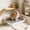 White_New#438, variant on Small Pet Litter Box with Detachable Grate for Rabbits, Guinea Pigs, Hamsters, Plastic Potty Tray for Small Animals, Green White Blue