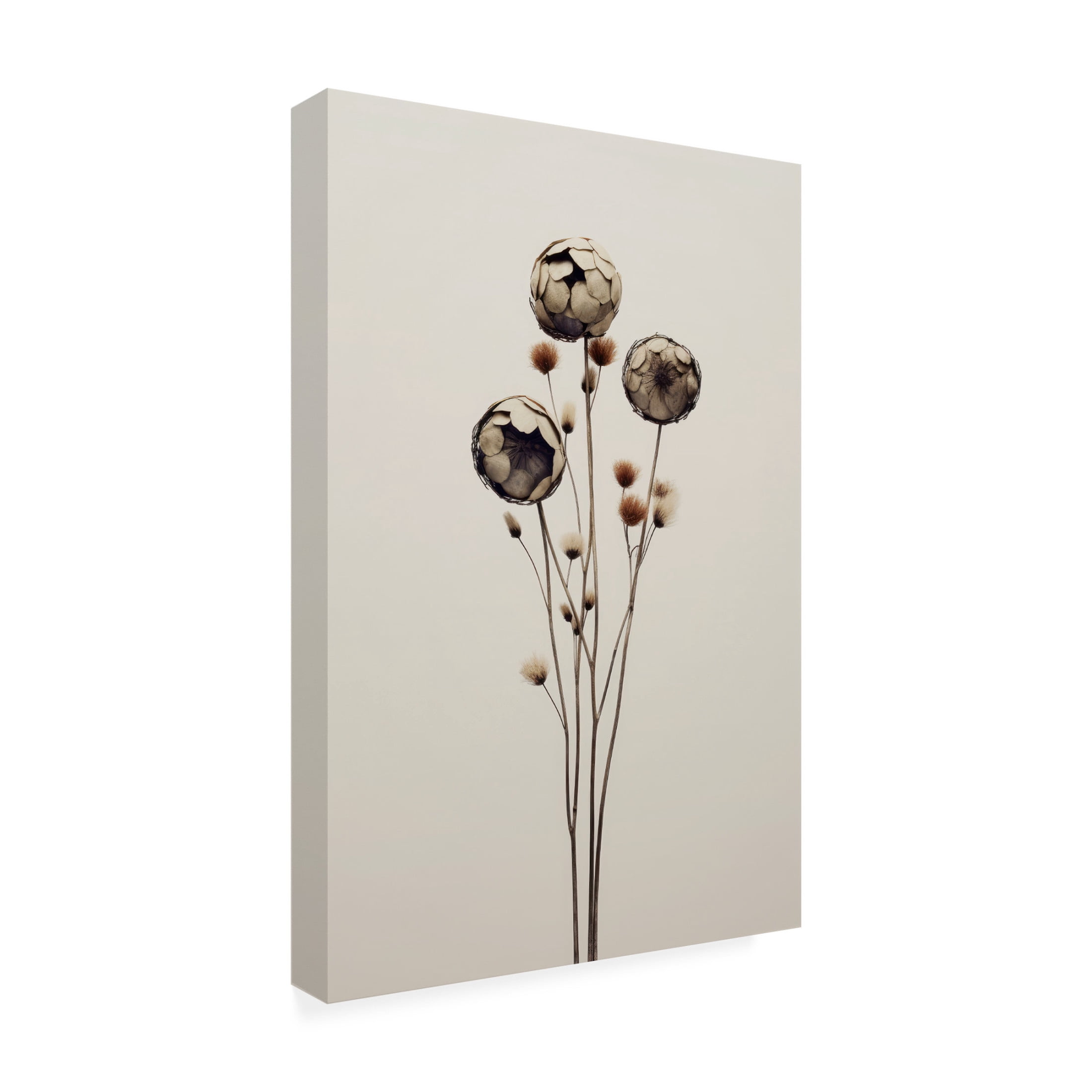 Trademark Fine Art Treechild Canelao Canvas Wall Art
