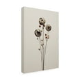 thumbnail image 2 of Trademark Fine Art Treechild Canelao Canvas Wall Art, 2 of 4