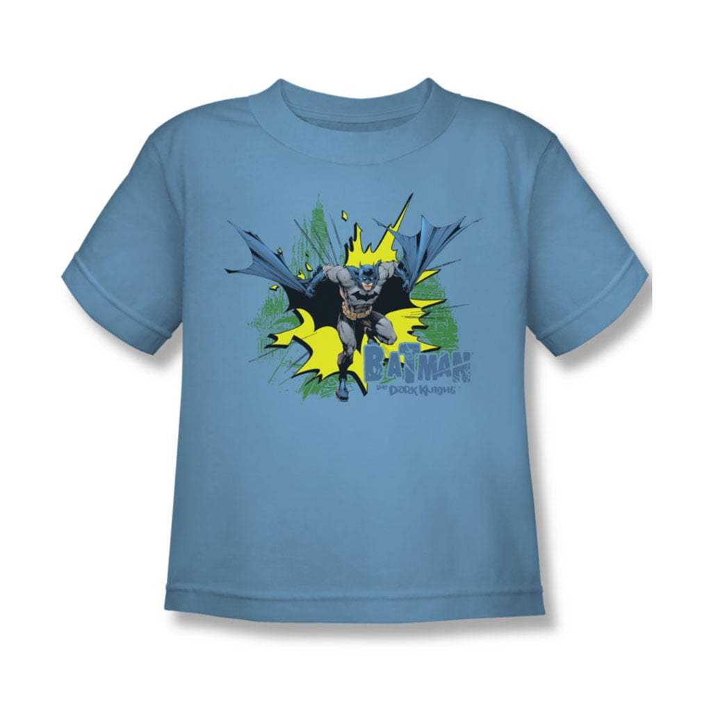Batman - Batman - City Splash Little Boys T-Shirt In Carolina Blue ...