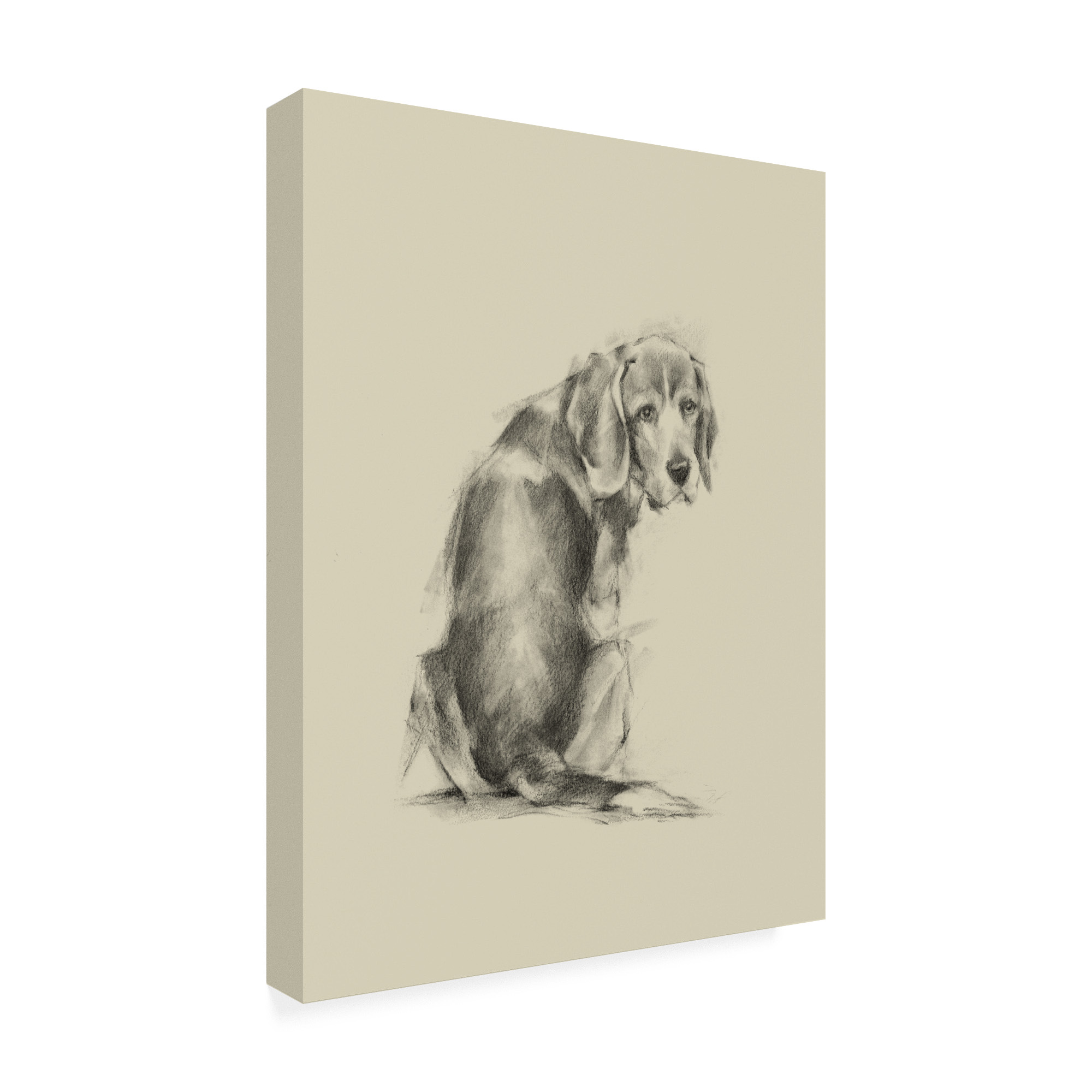 Trademark Fine Art 'Puppy Dog Eyes I' Canvas Art by Ethan Harper