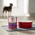 thumbnail image 2 of Ol' Roy Filet Mignon Flavor Cuts in Gravy Wet Dog Food, 13.2 oz Can, 2 of 10