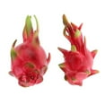 thumbnail image 4 of Decorative Fake Dragon Fruits Artificial Fruit Early Education Toys Fake Fruit, 4 of 5