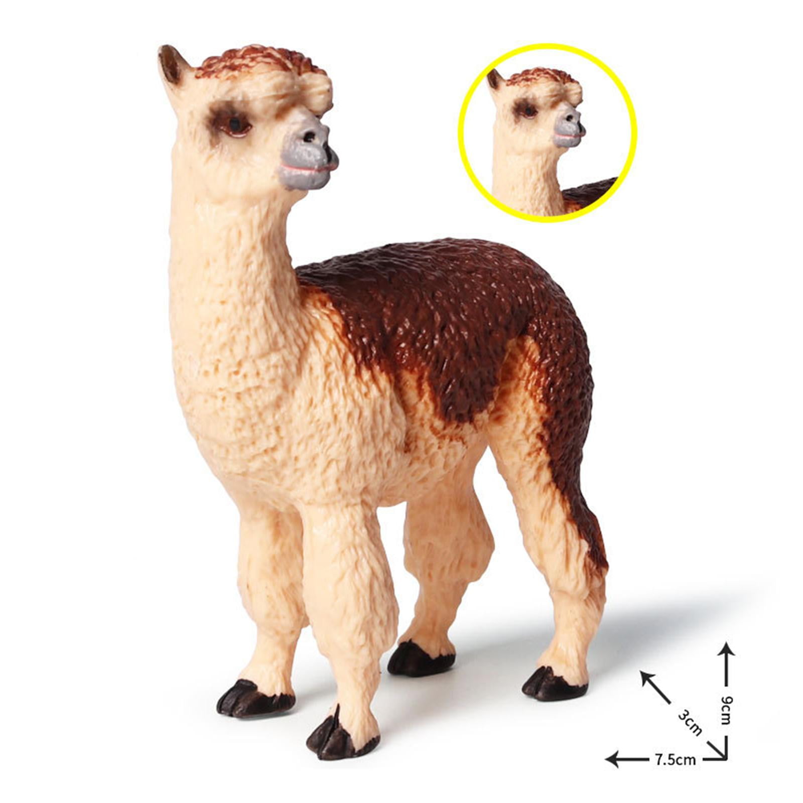 FOMIYES 5pcs Cute Alpaca Figurines Plastic Sculptures Hand Painted Animal Collections Statue Cake Topper for Home Fairy Garden Decor Kid Gift Cute Alpaca Figurine Toy Model Realistic Plastic Animal Action Figure  Educational Birthday Creative Gifts For kids Home Decor - AliExpress