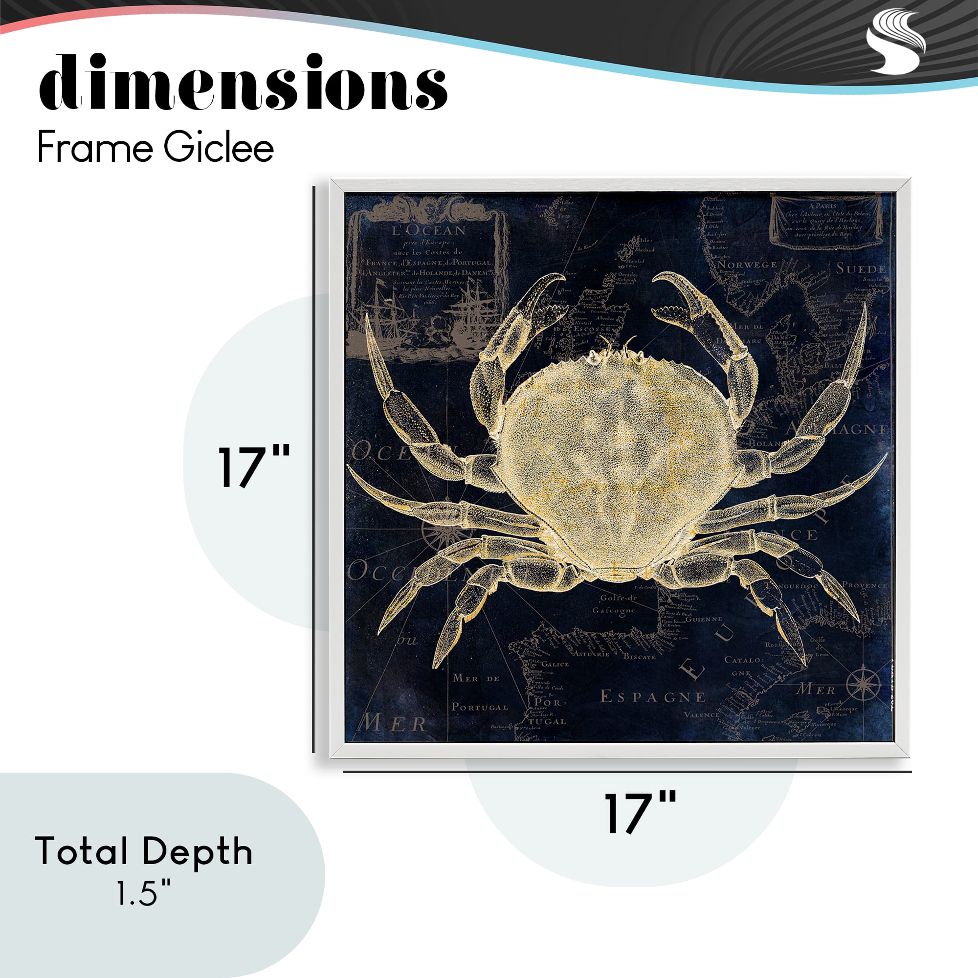 Crab Contour over Map White Framed Giclee Art, design by Sasha