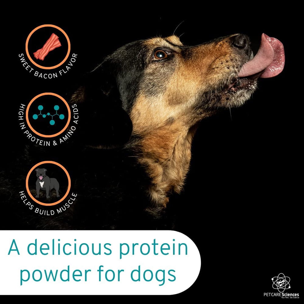 dog muscle builder powder