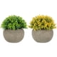 thumbnail image 1 of GOOHOCHY 2 sets Adornos de sala de estar de Bonsai Artificial para decoración (amarillo, verde), 1 of 4