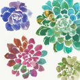 thumbnail image 2 of Wilson, Aimee 12x12 Black Ornate Wood Framed with Double Matting Museum Art Print Titled - Water Succulents II, 2 of 4