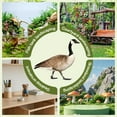thumbnail image 5 of ICERUN 2Pcs Garden Statues,Canada Goose and Hen Sculpture Garden Art,Acrylic Material Animal Yard Decorations Outdoor,Style3, 5 of 7