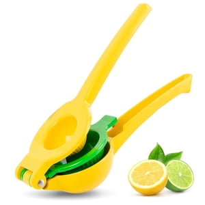 Dual-Cavity Metal Citrus Juicer with Filter