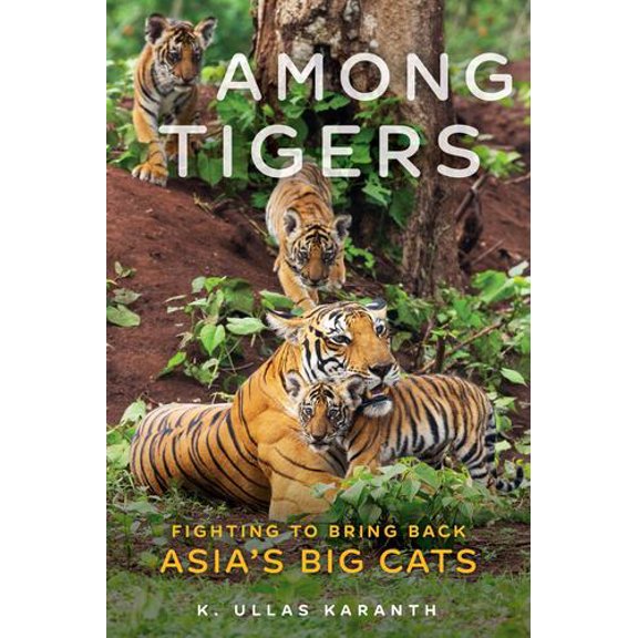 Among Tigers: Fighting to Bring Back Asia's Big Cats