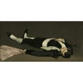 thumbnail image 2 of Édouard Manet 18x11 Gold Ornate Wood Frame and Double Matted Museum Art Print Titled - The Dead Toreador (Probably 1864), 2 of 4