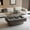Gray, variant on 38.6'' Fluted Lift-top Coffee Table Solid Wood Veneered Modern Coffee Table Accent Tea Table with Storage and Adjustable Height for Living Room, Bedroom, Apartment or Office, Gray