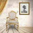 thumbnail image 3 of BRAUN Studio 12x14 Gold Ornate Wood Framed with Double Matting Museum Art Print Titled - Palmier, 3 of 4