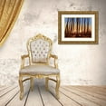 thumbnail image 3 of Prime, Marcus 14x12 Gold Ornate Wood Framed with Double Matting Museum Art Print Titled - Creeping Shadows 1, 3 of 4