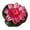Red powder, variant on ✪ Artificial Fake Floating Flowers Lotus Water Lily Plants Garden Tank Pond Decor