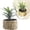 A, variant on Z52LingLing Decoration Artificial Pineapple Head Potted Plant, Realistic Fabric and Plastic Decor in Handmade Rattan Pot