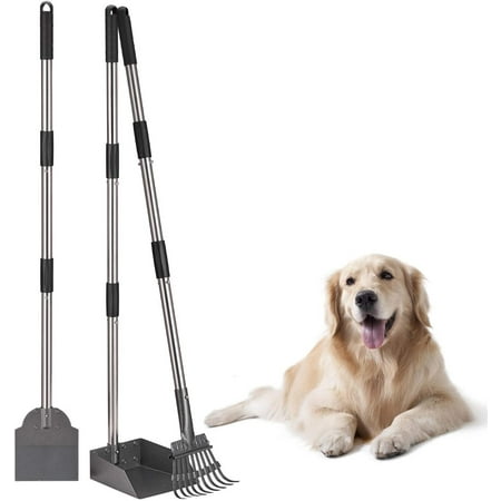 how much do dog poop cleaners cost