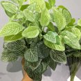 thumbnail image 2 of Plantas Artificiales De Imitación Plantas Falsas 7 Cabezas Enredaderas Verdes Artificiales Decoración De Pared Hojas Para Hogares Oficinas Decoración De Fiestas Accesorio De, 2 of 5
