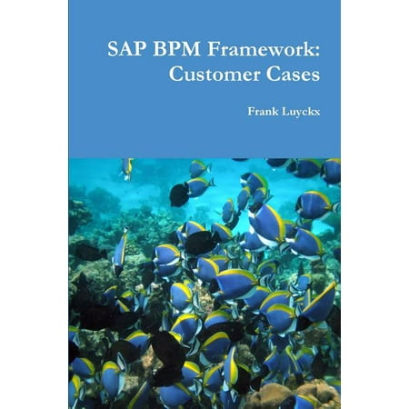 SAP Bpm Framework : Customer Cases