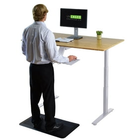 Rise Up Dual Motor Adjustable Height Electric Standing Desk 48x30