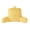Yellow, variant on Mainstays Faux Fur Plush Backrest Pillow, Specialty Size, Bay Leaf