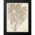 thumbnail image 2 of Vision Studio 15x18 Black Modern Framed Museum Art Print Titled - Sepia Exotic Plants V, 2 of 5