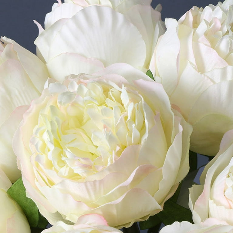 Ornamental Cabbage Hand Tied Flower Bouquet 5 Peonies North