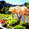 thumbnail image 4 of 50PCS Mini Mushroom Decoration Miniature Garden Crafts Small Artificial Mushroom, 4 of 8