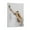 Frame-style, variant on Bird, Great Reed Warbler Poster Decorative Painting Canvas Wall Art Living Room Posters Bedroom Painting 08x12inch(20x30cm)