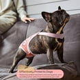 thumbnail image 2 of Dog Diapers Female Washable Sanitary Pantie with Adjustable Suspender, Reusable Doggie Period Panties, Pet Underwear Diaper Jumpsuits for Male Dogs in Heat, Puppy Diapers for French Bulldog, 2 of 5