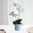 thumbnail image 4 of Decorative Real Touch Silk Orchid Bonsai, Artificial Flowers with Flower Pots Fake Flowers Arrangements for Home Wear-resistant No Withering Orchid Simulation Bonsai Flower, 4 of 8