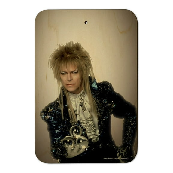 David Bowie As Jareth From The Labyrinth Home Business Office Sign