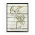 thumbnail image 1 of Stupell Industries Dill Vintage Herb Kitchen Dining Room Word Collage Design Framed Giclee Texturized Art by Kimberly Allen, 1 of 3