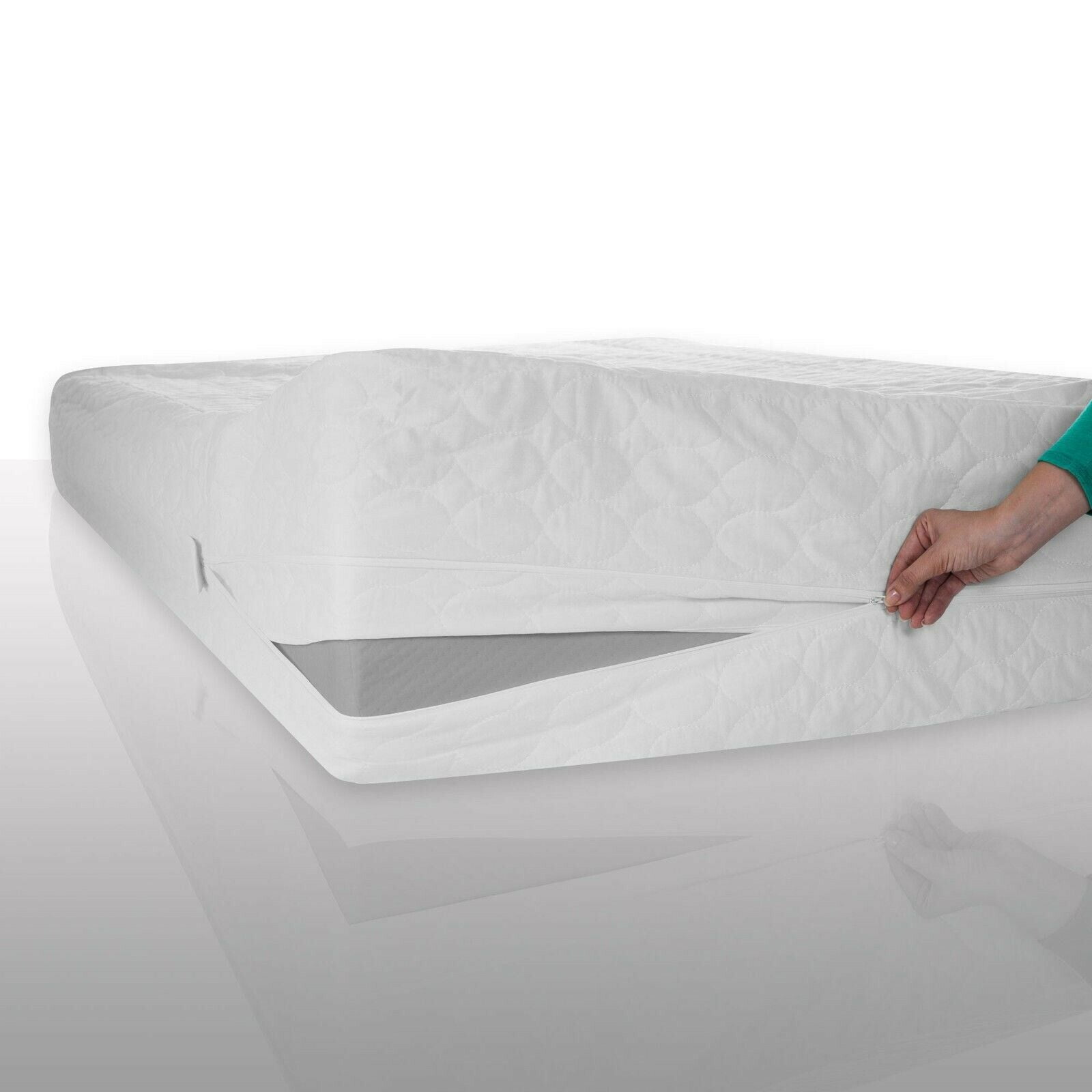 bed bug remedy
