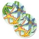thumbnail image 1 of "Caroline's Treasures Starfish Juego de 2 posavasos para coche 8542CARC, 2,56, multicolor" Caroline's Treasures 8542CARC, 1 of 1