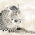 thumbnail image 2 of Robinson, Carol 26x26 White Modern Wood Framed Museum Art Print Titled - Leopard Spots I, 2 of 4