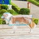 thumbnail image 4 of Chubasquero transparente para perros, chaqueta impermeable con capucha para perros pequeños, medianos y grandes, suministros para mascotas para pasear al aire libre, 4 of 5