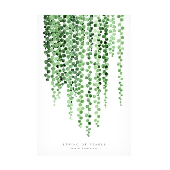 Canvas Wall Art - blursbyai 'Watercolor String Of Pearls' Wall Art for Living Room, Bedroom, or Office Décor by Trademark Fine Art - 12 x 19 Inches