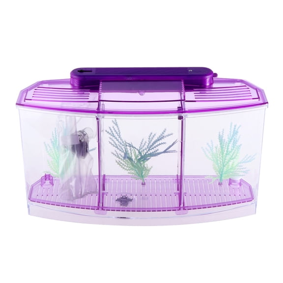 DEEPCRAFF Purple Desktop Fish Tank - Three Grid Design, Durable and Safe for Home Decoration