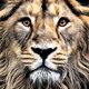 thumbnail image 1 of 30x30cm Diamond Painting Wall Art Full Round Drill Rhinestone para dormitorio (León) Sywqhk Decoración hogareña, 1 of 2