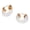 Style G, variant on Women's Huggie Hoop Earrings Stainless Steel Gold Plated Acrylic Piercing Earrings Style D