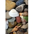 thumbnail image 2 of Calkins, Michelle 13x18 White Modern Wood Framed Museum Art Print Titled - Petoskey Stones IV, 2 of 4