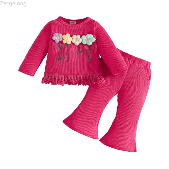 Zecgelong Toddler Girls Long Sleeve Floral T Shirt Tops Tassels Pants Outfits Girls Holiday Sets Age 9-12 Months