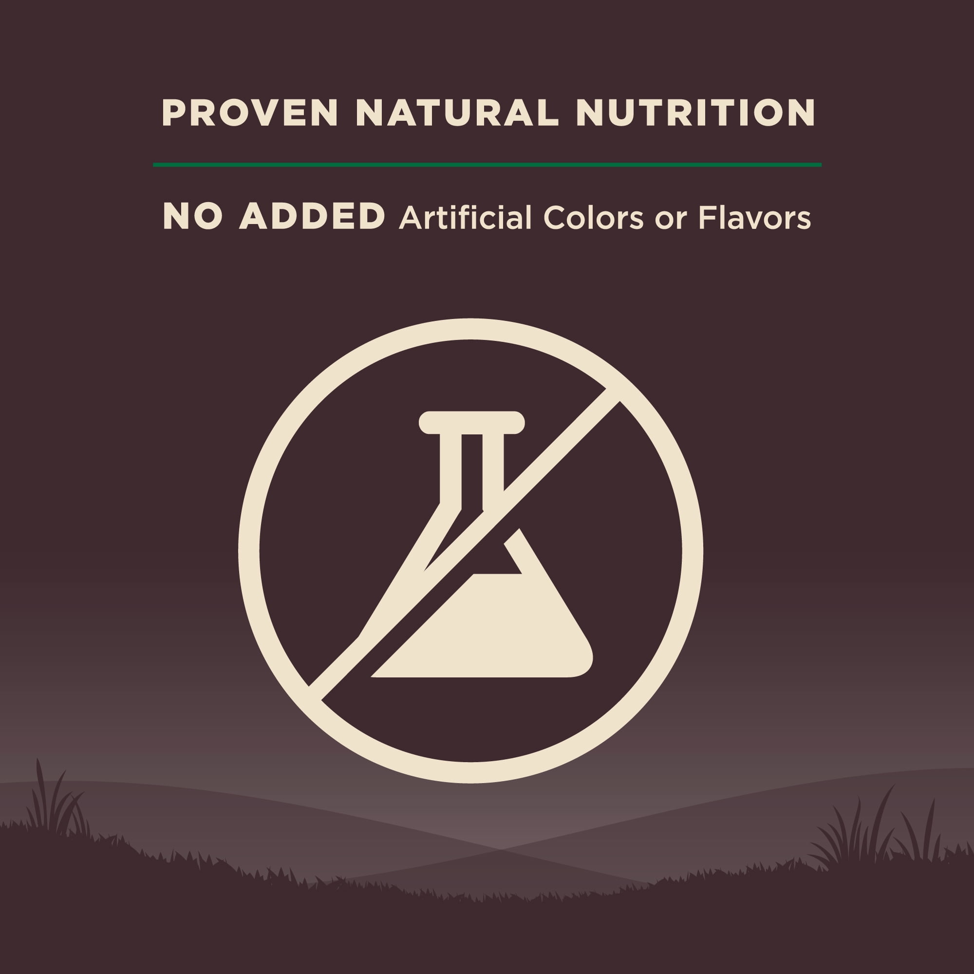 Wellness CORE Dry Dog Food, Grain Free, High Protein, Natural, Lamb Recipe, (22-Pound Bag)