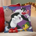 thumbnail image 4 of Sylvester and Tweety Pie-themed plush velvet Pillow Cover Case Gifts Pillowcase Home Decorative Throw Cushion Birthday Present Fans Lover, 4 of 6